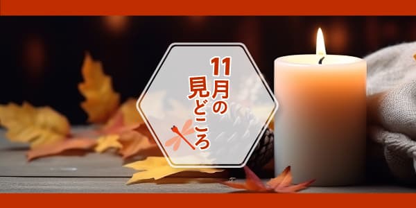 LIVEステーション／11月の見どころ🍁🍠