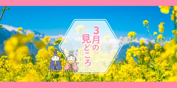 LIVEステーション／3月の見どころ🎎✨