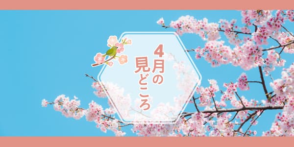 LIVEステーション／4月の見どころ🌸✨
