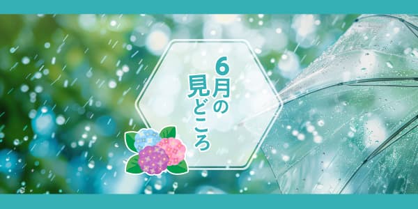LIVEステーション／6月の見どころ☔✨