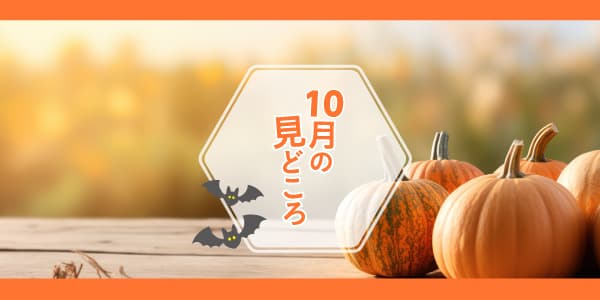 LIVEステーション／10月の見どころ👻✨